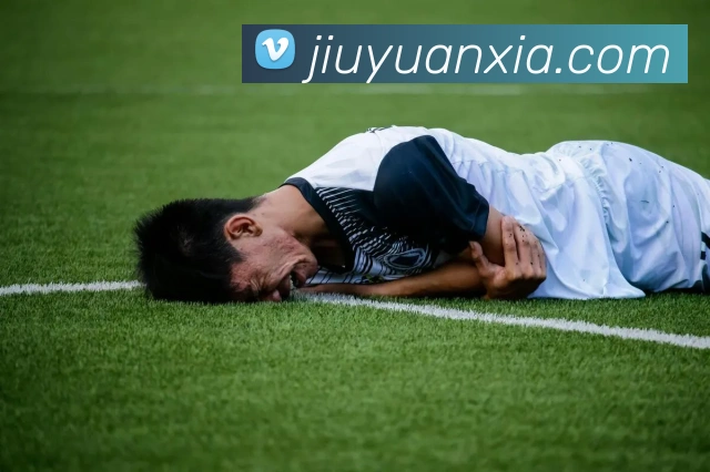 奖项证书